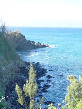 On the road past Kapalua