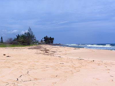 beach at the bottom of the trail