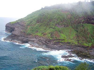 Kilauea Wildlife Refuge 