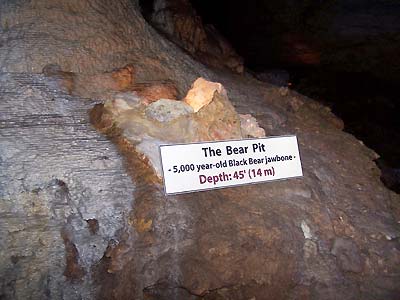 The Bear Pit