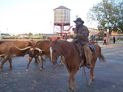 Token cowboy