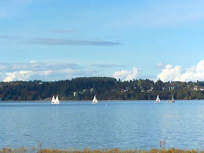 Comox Harbour