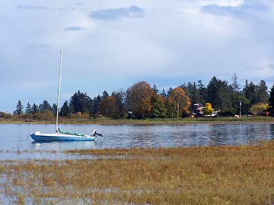 Sailboat moored in the harbour