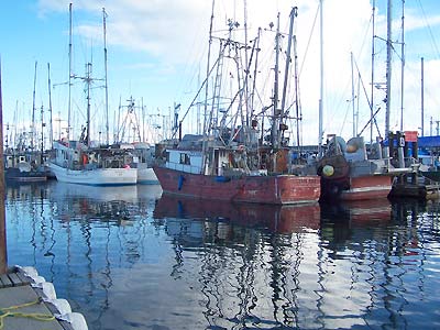 Old boats in need of some paint