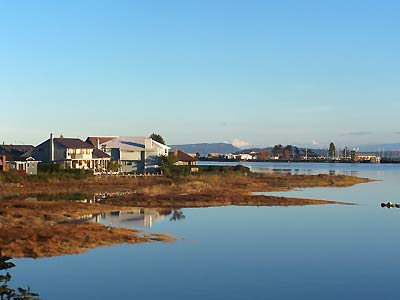 Buildings by the harbour