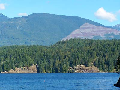 a shot from our second ferry ride showing the clear cutting on the hill side