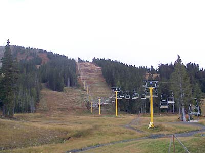 Ski tow in the summer looks lonely