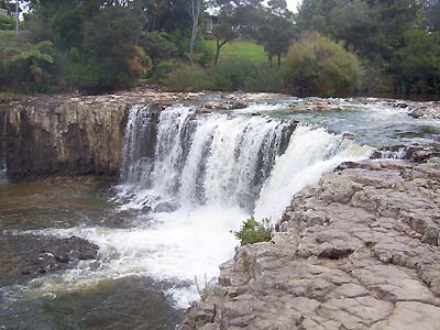 Haruru Falls near Paihia