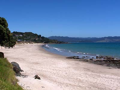 The main beach near Hot Water Beach