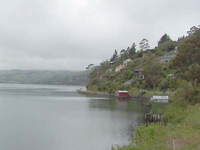 Road on Otago Peninsula