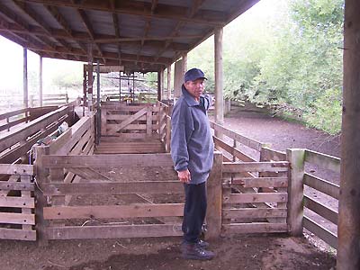 David explains how the corrals work