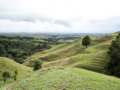 On a clear day you can see Hawkes Bay