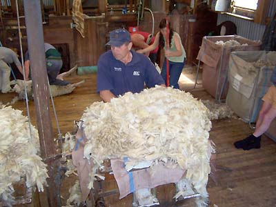 David loading up the form for wool baling