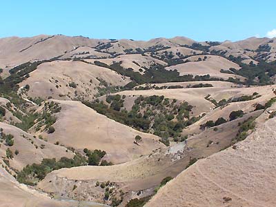 Hills around the Cape