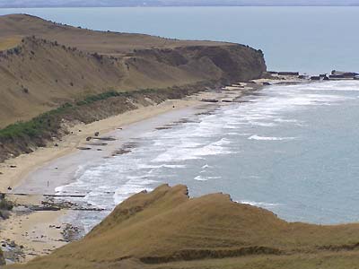 The beach seen from the Gannet Colony