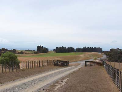 Only shot of Cape Kidnappers GC as we drove by it