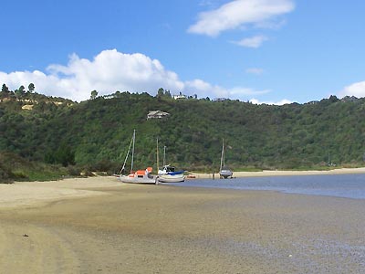 Boats at low tide