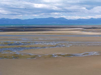 Low tide