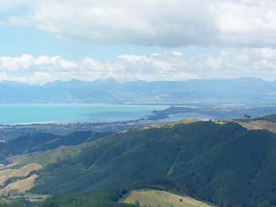 View from the mountain looking down on Nelson