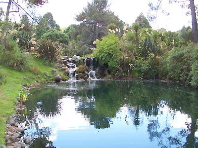 Pond on the Wairakei Golf Course