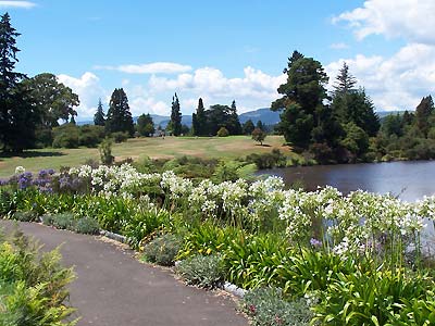 Local flowers in bloom on the golf course