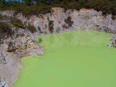 Green pool by the walkway