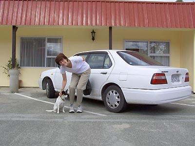 Sharon, the local dog and the rental car