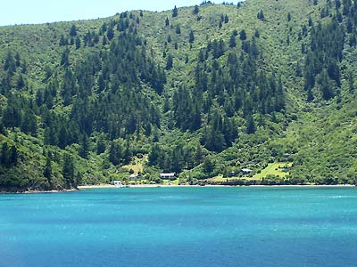 Home along the side of Queen Charlotte Sound