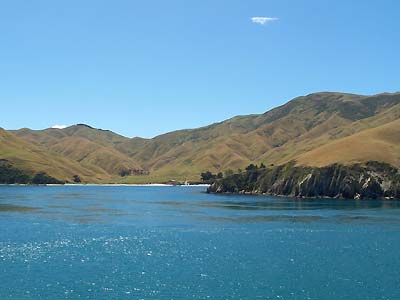 View along the Tory Channel