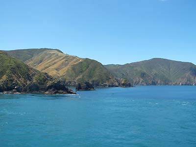 South Island, land's end