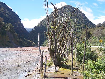 The road to Franz Joseph Glacier