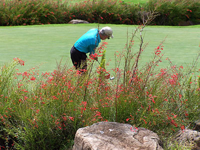 Putting green