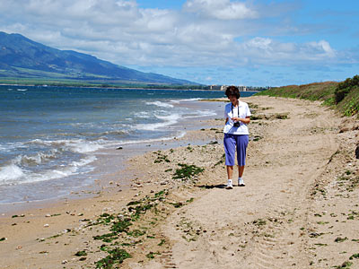 The beach behind the condo