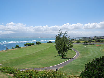 Great par 3 at Waiheu