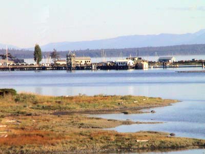 Comox harbour