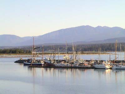 Comox harbour