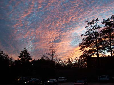 Evening sky on our way to dinner